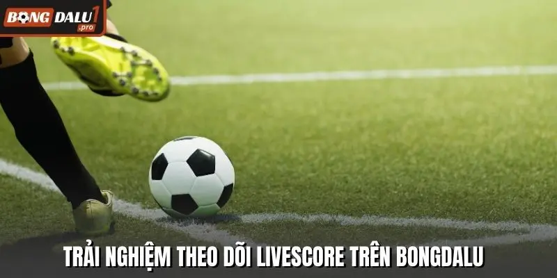 Trải nghiệm theo dõi livescore trên Bongdalu